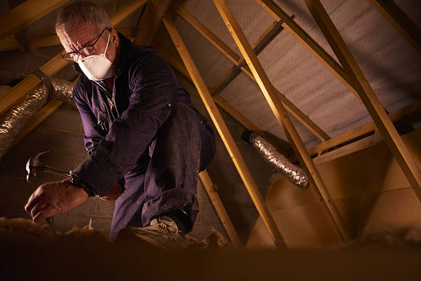 Best Insulation Repair Services  in St Croix Falls, WI